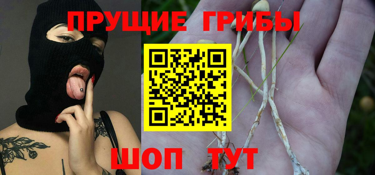 Галлюциногенные грибы мухоморы  Вход с VPN  Галлюциногенные грибы ЛСД  Чехов 
