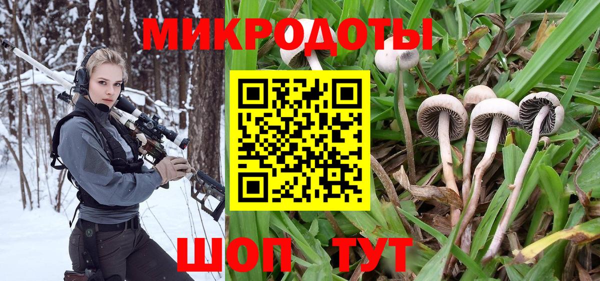 Псилоцибиновые грибы Cubensis Чехов